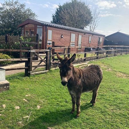 Rew Farm Country And Equestrian Accommodation - Sunset Lodge Melksham Exterior foto