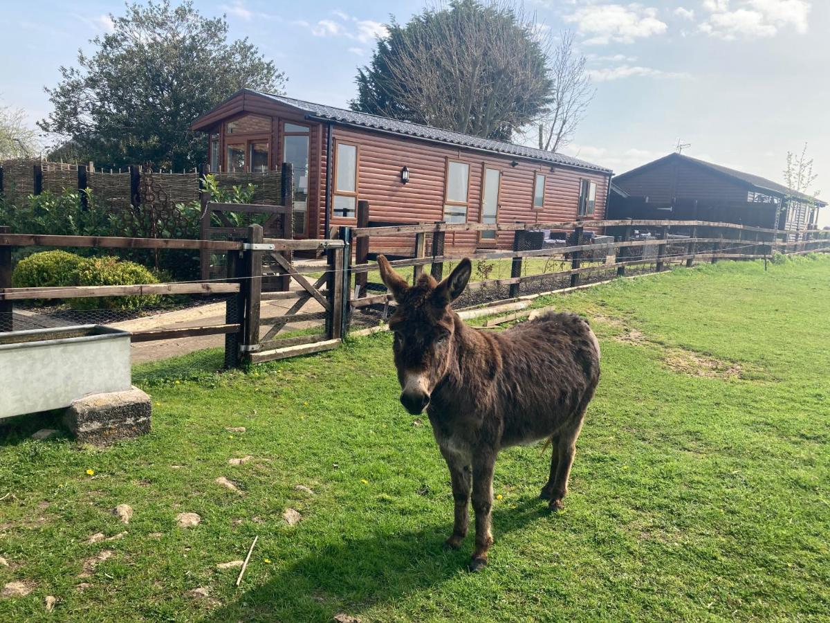 Rew Farm Country And Equestrian Accommodation - Sunset Lodge Melksham Exterior foto